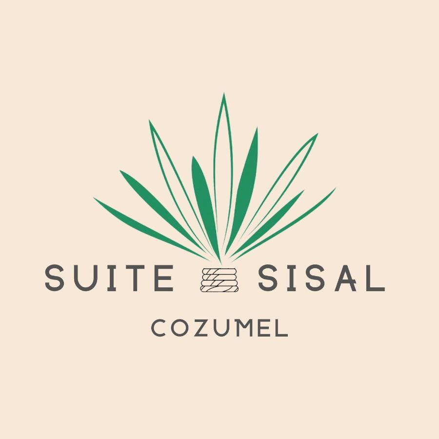 Brand New Condo With Rooftop Pool كوزوميل المظهر الخارجي الصورة
